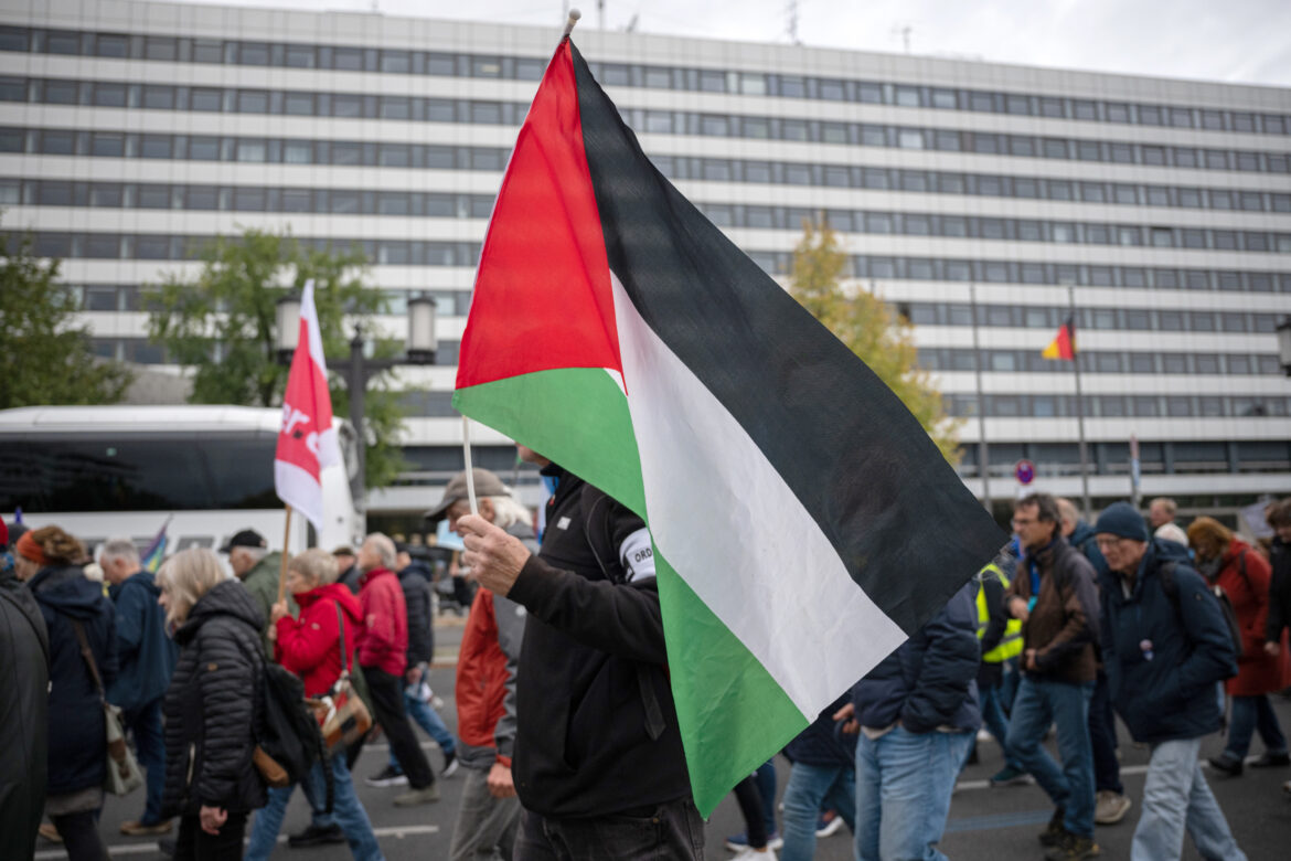 Left-wing German party Die Linke in crisis over pro-Palestine support